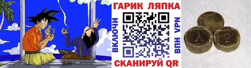 ГАШ Изолятор Медвежьегорск