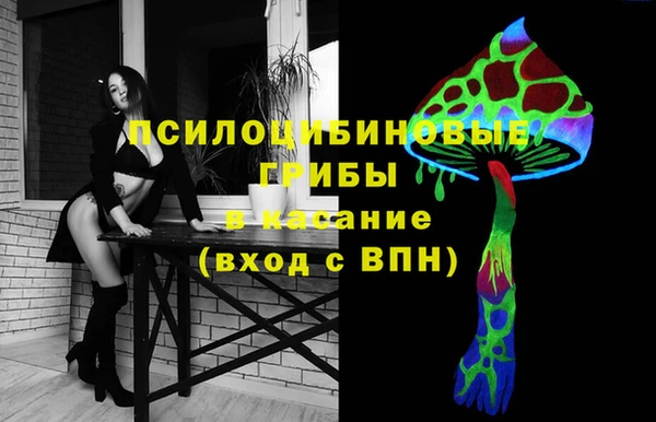 дмт Армянск