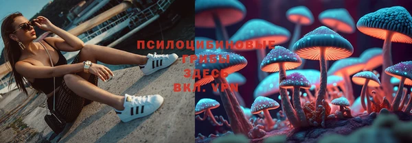 2c-b Арсеньев